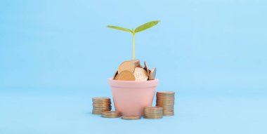 Hisse senedi yatırımları birikmiş paraları toplar