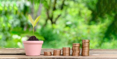 Birikmiş paralar konsept yatırım para tasarrufu