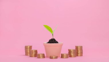 konsept finansal büyüme hisse senedi ödeme vergileri