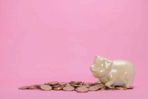 Concept Piggy Bank Money Invest Stock Financial Growth — Stock Photo, Image