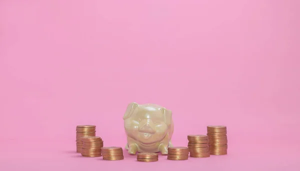 Concept Piggy Bank Money Invest Stock Financial Growth — Stock Photo, Image