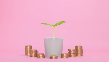 istiflenmiş madeni para konsepti finansal büyüme stokları yatırım vergileri gelir