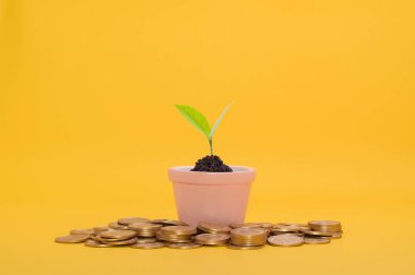 Tasarruf, hisse senedine yatırım, mali büyüme, gelir