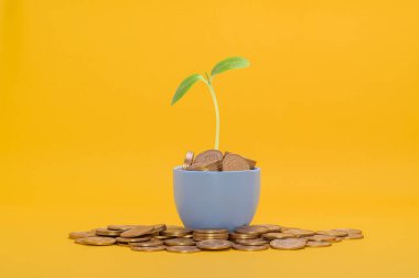 Tasarruf, hisse senedine yatırım, mali büyüme, gelir