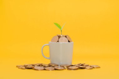 Tasarruf, hisse senedine yatırım, mali büyüme, gelir