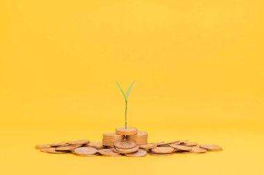 Tasarruf, hisse senedine yatırım, mali büyüme, gelir