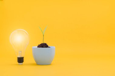 Yeni fikirler, büyüyen fikirler