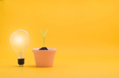 Yeni fikirler, büyüyen fikirler