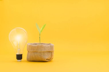 Yeni fikirler, büyüyen fikirler