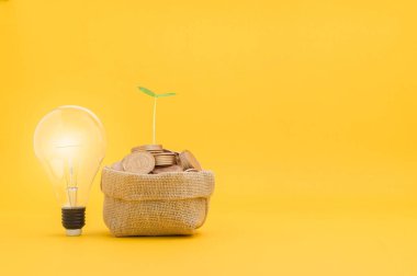 Tasarruf, hisse senedine yatırım, mali büyüme, gelir