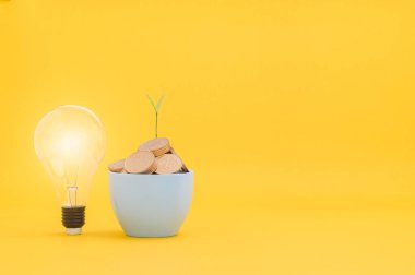 Tasarruf, hisse senedine yatırım, mali büyüme, gelir