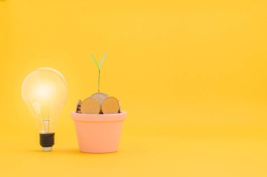 Tasarruf, hisse senedine yatırım, mali büyüme, gelir