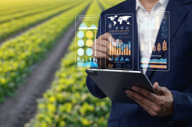 Bir işletme uzmanı, ileri teknoloji kullanarak sürdürülebilir tarım verilerini bir tablet üzerinde analiz eder, canlı bir ekin tarlasına karşı kurulur, modern tarım tekniklerinde yenilik sergiler..