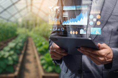 Bir işletme uzmanı, modern tarım uygulamalarında teknoloji ve sürdürülebilirliğin entegrasyonunu vurgulayan bir seradaki bir tablet üzerindeki tarım verilerini inceler..