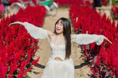 Güzel bir kadın baharda açan canlı kırmızı çiçeklerin arasında neşeyle oturur. Sahne onun mutluluğunu ve doğanın sükunetini tam çiçeklenme haliyle yakalar..