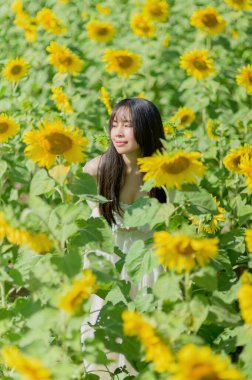 Güzel bir kadın canlı bir ayçiçeği tarlasının ortasında duruyor, baharın özünü somutlaştırıyor. Güneşli sahne doğada bir neşe ve sükunet anı yakalar..