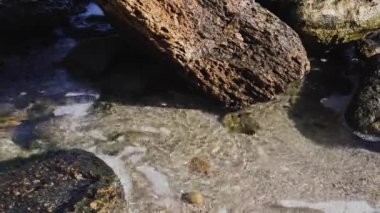 Karadeniz sahilinde martılar var. Deniz plajı - yakın çekim, dalgalar, taşlar ve kabuklar, kum ve yosun.