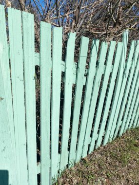 Nane yeşili ahşap bir çitin dikey çıtçıtası aşınmış, yemyeşil bitkilerle çevrili, kırsal bir açık hava ortamı ve doğal mahremiyet yaratıyor.