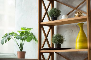 Modern iç mekan, saksı bitkileriyle süslenmiş ahşap raflar, sarı dekoratif vazo, ve doğal ışık olan bir pencerenin yanında seramik bardak.