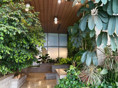 Taştan oturma alanları ve ahşap bir tavana sahip yeşil bitkiler, ziyaretçiler için rahatlatıcı bir atmosfer sağlayarak, havaalanının iç kısımlarında belirgin şekilde sergileniyor.