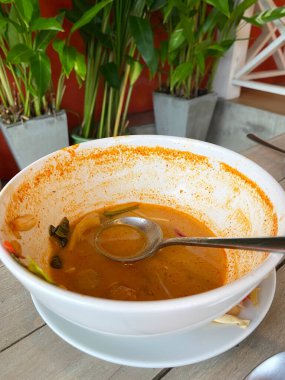 Baharatlı çorba kalıntılarını gösteren boş bir kâse ve ahşap bir masada metal bir kaşık, arka planda dekoratif kaplarda yeşil bitkiler.