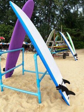 Farklı renkte sörf tahtaları, arka planda kumlu zemin ve tropikal bitki örtüsü bulunan bir sahil kiralama dükkanının rafında sergilenir.