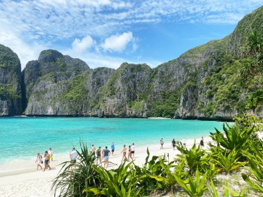 Maya Körfezi Adası, Tayland - 30 Ekim 2025: Maya Körfezi Adası turkuvaz suları ve yüksek yeşil uçurumlar içerir.