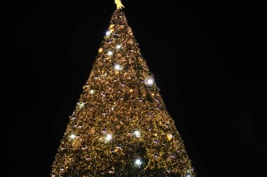 Altın ışıklar ve renkli süslemelerle aydınlatılmış görkemli Noel ağacı, koyu bir arka plana kurulmuş, sıcak ve neşeli bir tatil ruhunu çağrıştırıyor.
