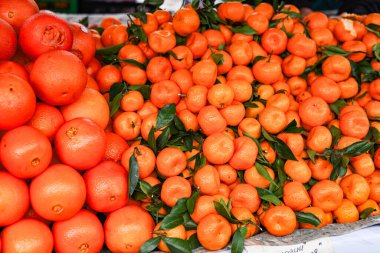 yeşil yaprakları ile taze mandalina