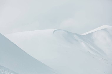 Keskin bir sırtı ve rüzgârlı bir kornası olan el değmemiş, beyaz, karla kaplı bir dağ zirvesinin yakın görüntüsü. Yumuşak gün ışığı altında minimalist kış manzarası, temiz beyaz arka plan.