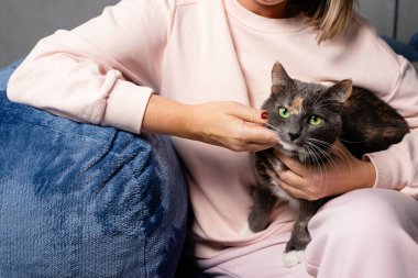 Gri kediyi evde tutan kadına yakın, sıcak ev hayvanı yaşam tarzı, duygusal bağ ve rahatlık..