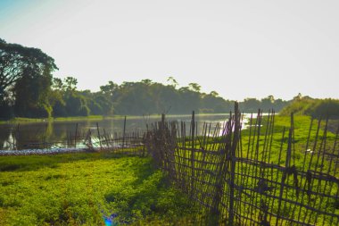 Huzurlu kırsal nehir manzarası, yumuşak yeşil çimenler, sakin bir su bedeni ve yumuşak doğal ışık altında geleneksel bir bambu çiti içerir. Bu süreç kırsal yaşamı, tarımı, doğayı, sürdürülebilirliği, çevre dostu yaşamı temsil eder..
