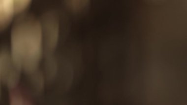 Yumuşak ışık ve gölge desenleri içeren bulanık bir arkaplan. Sessiz tonlar ve nazik hareketler, sanatsal projeler, geçişler, örtüşmeler, ruh hali görselleri için uygun sinematik ve atmosferik bir görünüm yaratıyor..