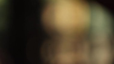 Yumuşak bokeh ve etrafını saran koyu tonlu sıcak, altın bulanık ışık içeren soyut video görüntüleri. Odaklanamayan ve sinematik atmosfer lüks ve kasvetli bir görsel stil yaratır. Arka plan görselleri, gölgeler ve film geçişleri için mükemmeldir..