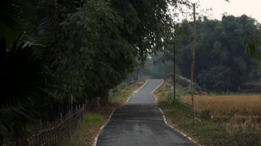 Açık tarım arazileri boyunca uzanan dar kırsal yol ve huzurlu bir kırsal alanda sık ağaçlar. Tarım alanları, bambu çitleri ve doğal bitki örtüsü yolu çevreleyerek sakin bir kırsal atmosfer yaratıyor. Seyahat temaları için ideal.