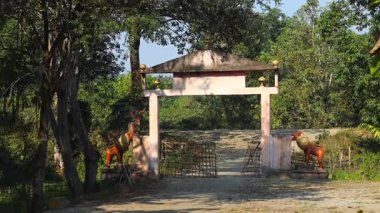 Dibrugarh, Assam, Hindistan, 16 Ocak 2026: Assam 'ın Dibrugarh ilçesinde yoğun yeşil ağaçlar ve doğal bitki örtüsüyle çevrili bir orman rezervinin giriş kapısı. Kapı, korunan bir ormanlık alana giriş noktasını gösteriyor..