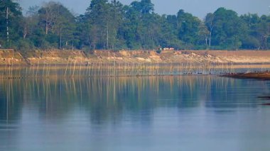 Yüzeyden çıkan tahta çubuklar, uzak orman ağaçları ve suda dinlenen kuşlar ile sakin nehir manzarası. Yumuşak yansımaları ve sakin atmosferi olan barışçıl doğal sulak arazi.