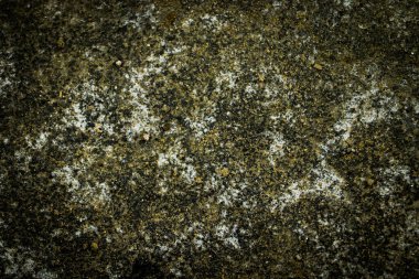 Doğal lekeler, pürüzlü tahıllar ve dengeli olmayan mineral desenleri içeren yıpranmış beton bir yüzeye yakın çekim. Görüntü, eski materyal dokularını, erozyon izlerini ve organik yüzey değişimlerini ön plana çıkararak soyut arkaplanlar için uygun hale getiriyor..