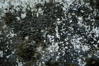 Doğal grunge desenleri, mineral lekeleri ve organik yüzey detaylarını içeren esmer, yıpranmış taş ya da beton yüzeyin yakın görüntüsü. Resim kaba dokuları ve eski karakteri vurguluyor, bu da onu soyut arkaplanlar için uygun kılıyor.