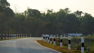 Boş bir asfalt yol, siyah-beyaz yol güvenlik direkleriyle kaplı yeşil bir kırsal alanda yavaşça kıvrılır. Yoğun orman ve yumuşak sabah ışığı sakin ve manzaralı bir atmosfer yaratır. Ulaşım ve seyahat için ideal.