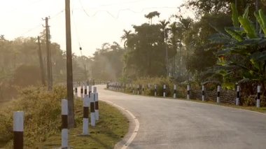 Hindistan 'ın Assam kentindeki yemyeşil yemyeşil verimli kırsal yol sıcak altın saat ışığı altında yavaşça geçer. Huzurlu kırsal kesimde köy altyapısı, yol kenarı bitki örtüsü ve sakin bir doğal atmosfer ön plana çıkıyor..