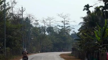 Yalnız bir motosikletçi ağaçlar ve elektrik direkleriyle kaplı kırsal bir yol boyunca hafifçe virajlı bir şekilde gidiyor. Bereketli yeşillik ve uzak tepeler sakin bir kırsal atmosfer yaratarak, huzurlu köy yaşamını ve doğal çevreyi ön plana çıkarıyor..