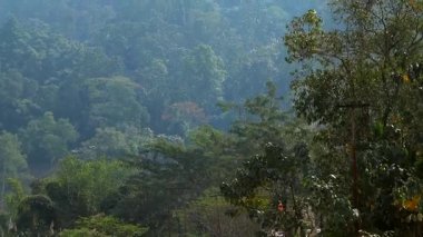 Güpegündüz tropikal ağaçlar ve doğal bitki örtüsüyle kaplı sık yeşil orman tepelerinin manzarası. Katmanlı manzara, puslu arka plan tepeleri ve zengin yeşillikleriyle, dokunulmamış doğayı temsil eden barışçıl bir kırsal atmosfer yaratıyor..