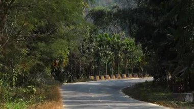 Bereketli yeşil ağaçlar ve palmiye bitkileriyle sık tropikal ormanlardan geçen dolambaçlı bir asfalt yolu manzarası. Yol kenarındaki güvenlik bariyerleri ve eğri uyarı işaretleri görülebiliyor. Bu da huzurlu bir kırsal seyahat ortamı yaratıyor..