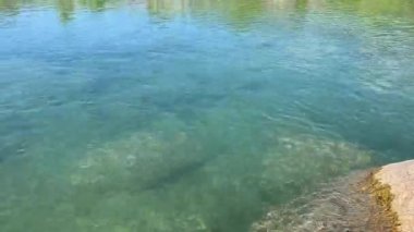 Yumuşak kayaları ve yeşil bitki örtüsü ve açık kırsal alanla çevrili küçük bir kumsaldan akan sığ bir nehrin huzurlu manzarası. Basit bir nehir kenarı sığınağı ve açık mavi gökyüzünün altındaki uzak tepeler sakin bir kırsal atmosfer yaratır..