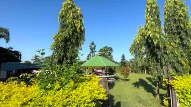 Uzun ağaçlar, budanmış çalılar ve açık mavi gökyüzünün altında canlı sarı bitkilerle çevrili yeşil çatılı küçük bir taraçanın yer aldığı huzurlu bir bahçe sahnesi. Peyzaj çimenliği ve doğal güneş ışığı rahatlatıcı bir açık hava ortamı yaratır..