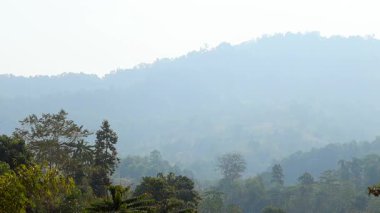 Parlak gün ışığında yumuşak sislerin içinde kaybolan tropikal orman tepelerinin panoramik görüntüsü. Yoğun yeşil gölgelik arazi boyunca uzanır, doğal derinlikte sakin ve atmosferik bir manzara yaratır. Bulanık gökyüzü ve yayılmış ışık.