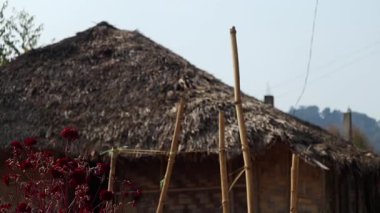 Longding, Arunachal Pradesh, Hindistan 18 Şubat 2026: Bambu direkleri ve kırsal bir tepede kırmızı çiçeklerle çevrili geleneksel sazdan çatı evi. Görüntü, yerel köy mimarisini ve günlük yaşamı betimliyor..