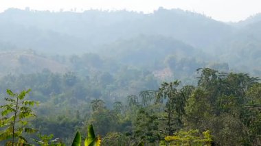 Yumuşak gün ışığında sislerle kaplı yeşil tepelerin ve sık orman manzarasının manzarası. Yuvarlanan dağ katmanları, tropikal bitki örtüsü ve atmosferik sis ile barışçıl bir doğal zemin oluşturur..