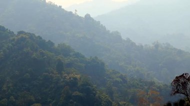 Yoğun ormanlık dağ tepeleri sabah sisi ile kaplı. Zengin yeşillik, atmosferik derinlik ve dağlık arazi boyunca süzülen hafif güneş ışığından oluşan sakin bir doğal manzara..